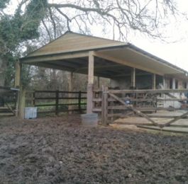 Click Here To View Larger Image