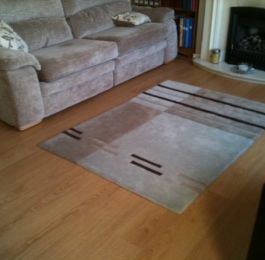 Click Here To View Larger Image